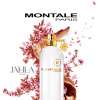 MONTALE NEPAL AOUD FOR UNISEX EDP 100 ML